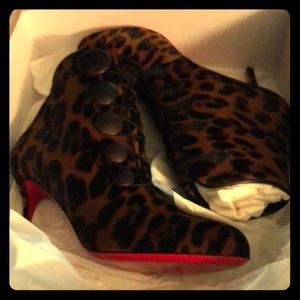 Booton 85 pony dark Leo/calf